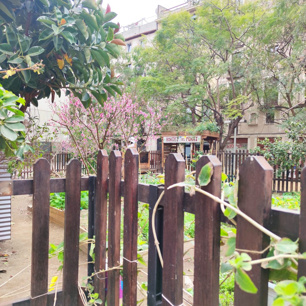 Ruta por el barrio de Sant Pere, Santa Caterina i la Ribera (Barcelona)