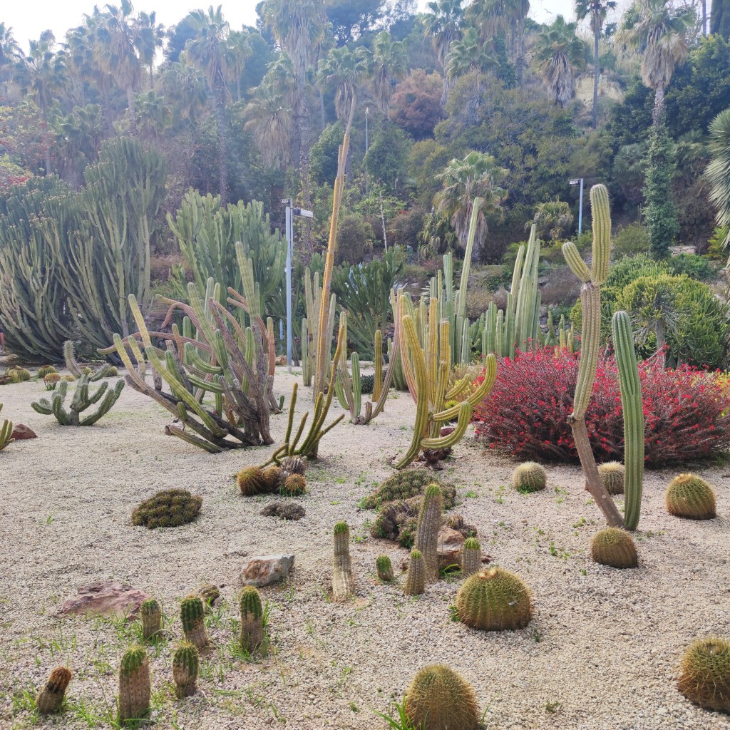 Jardins Mossèn Costa i Llobera