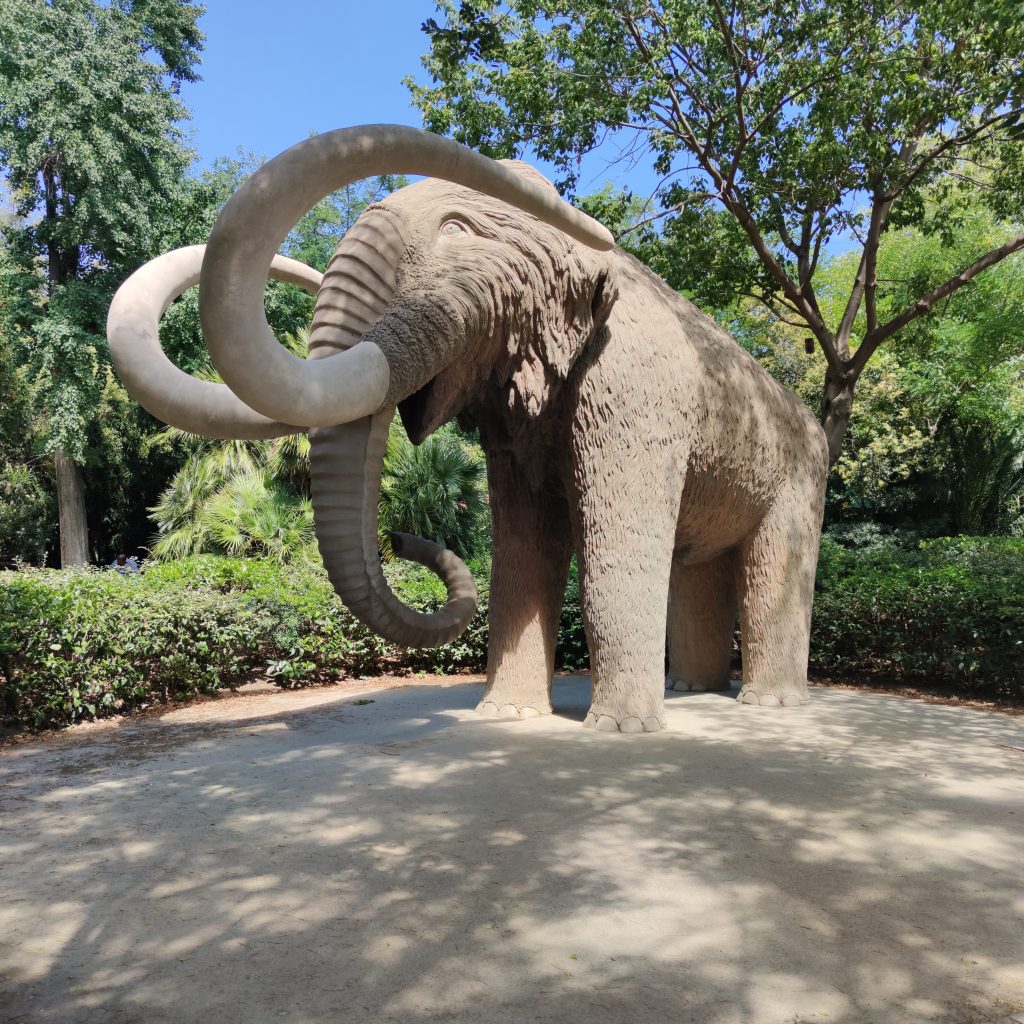 Ruta por el barrio de Sant Pere, Santa Caterina i la Ribera (Barcelona)