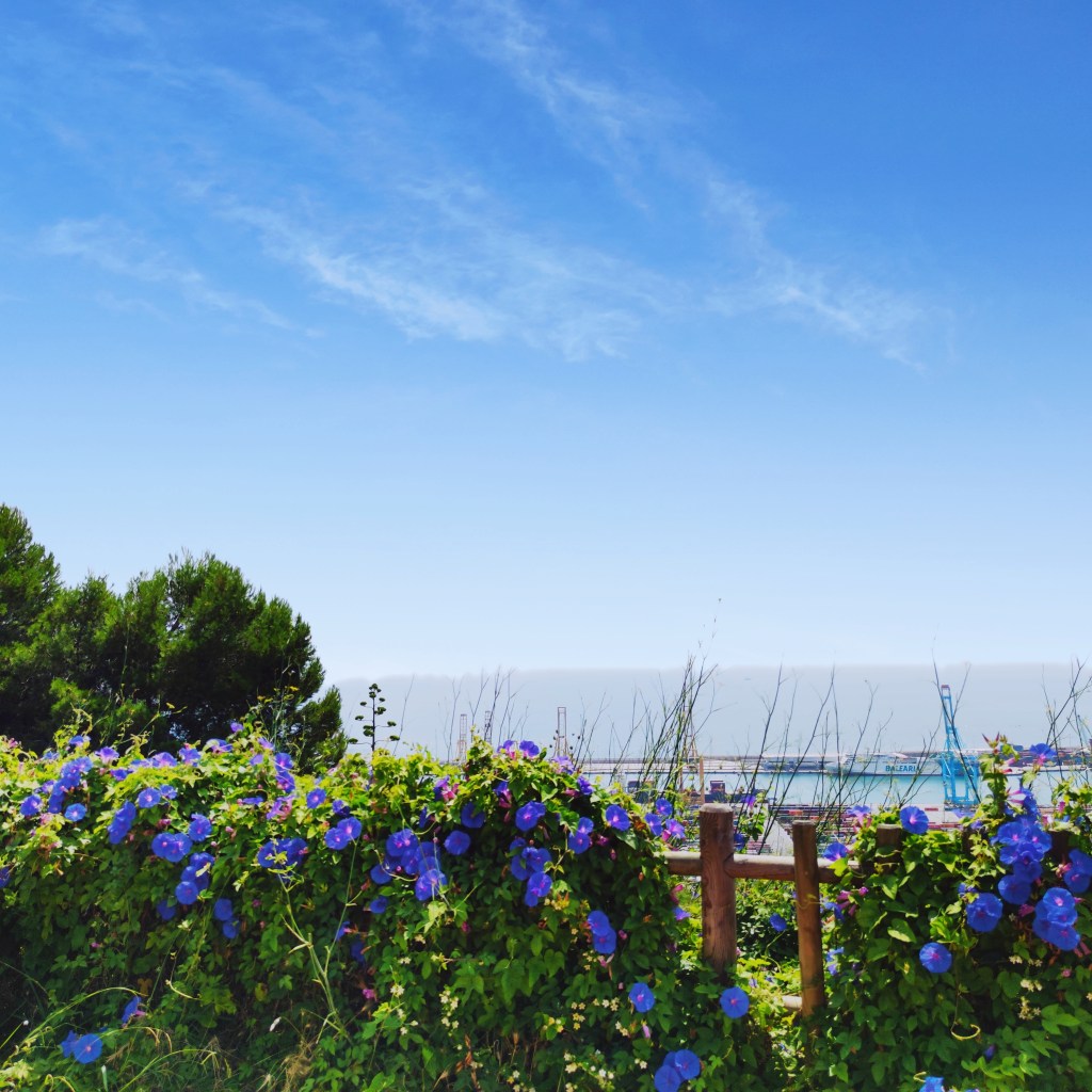 Los mejores miradores gratuitos de Barcelona