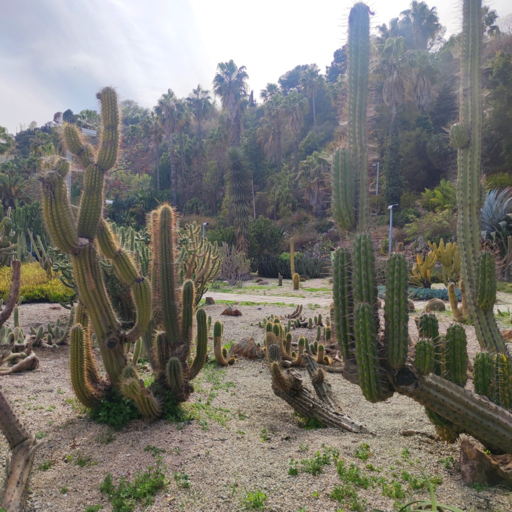 Jardins Mossèn Costa i Llobera
